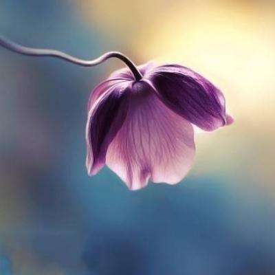 亚星手机版app下载